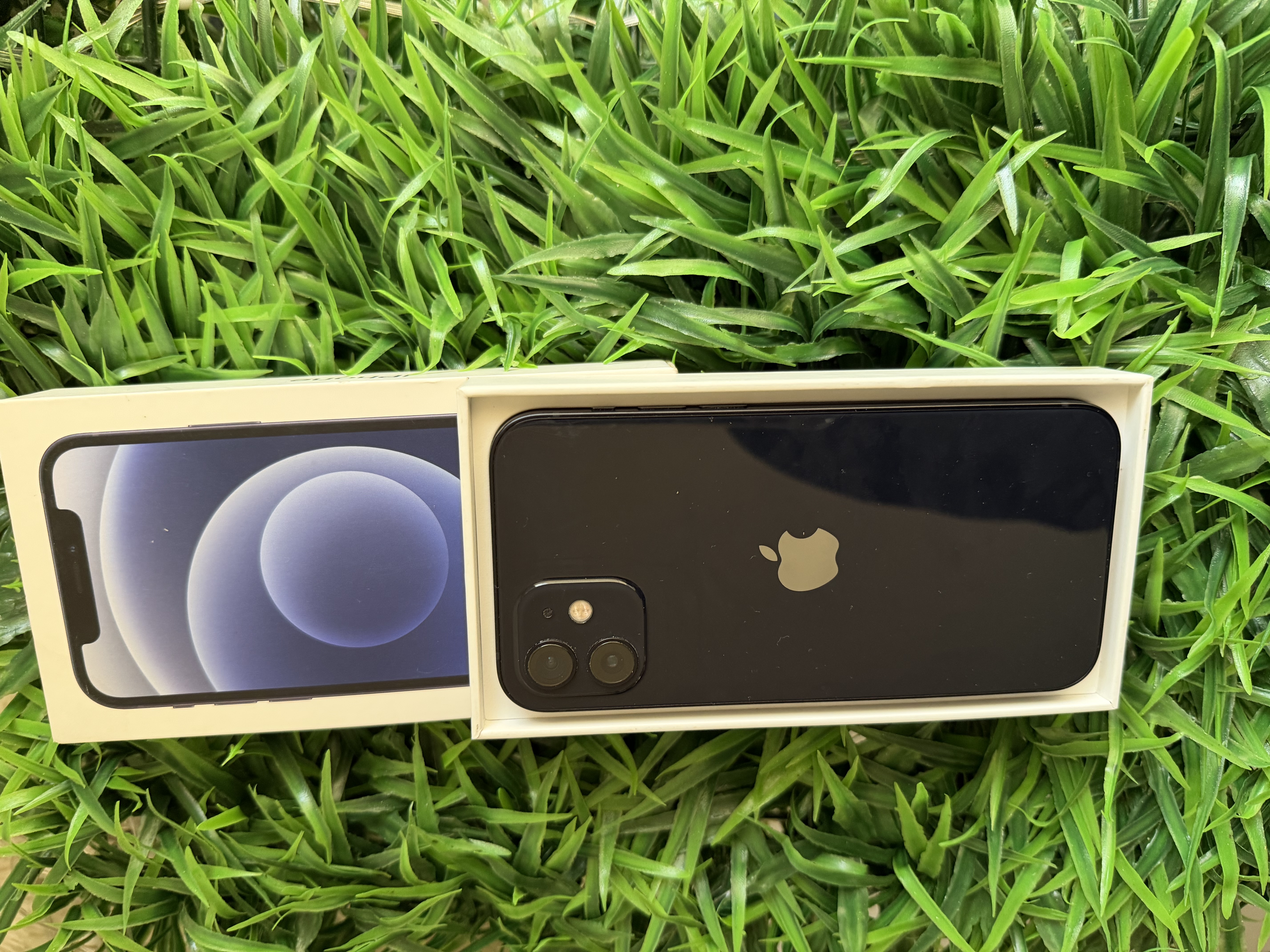 iPhone 12